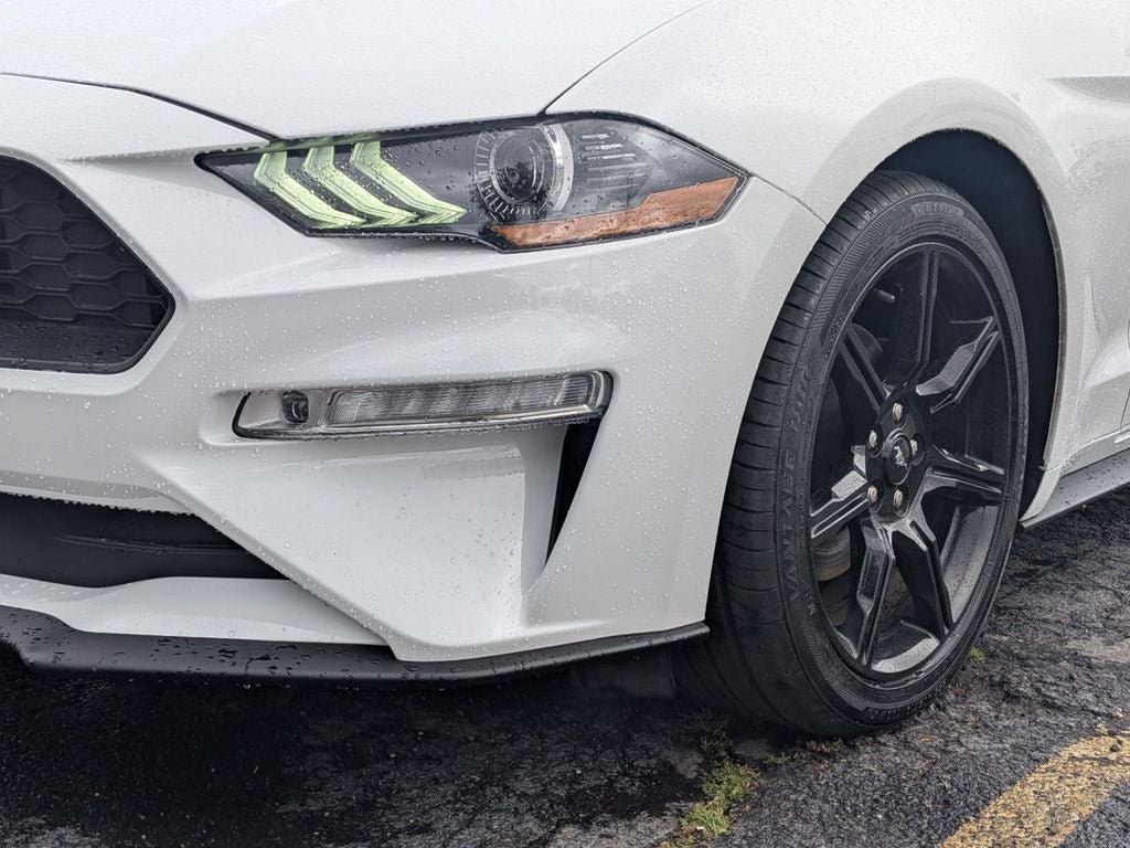 2019 Ford Mustang EcoBoost Premium
